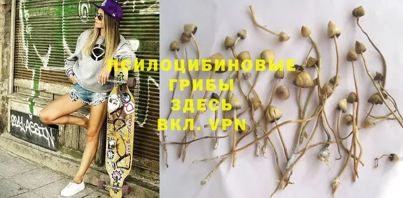 Псилоцибиновые грибы Magic Shrooms  Лесной 